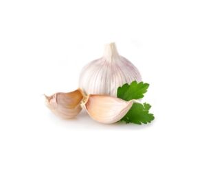 Knoblauch